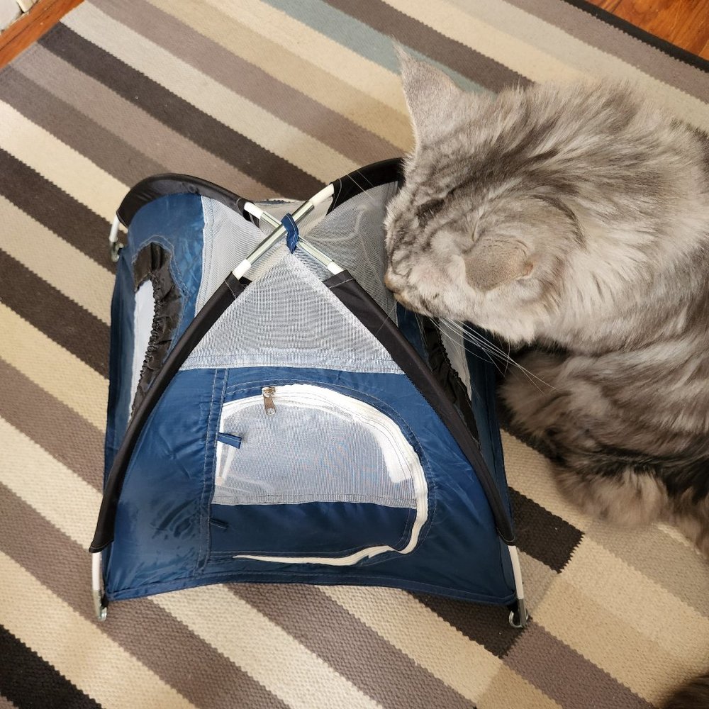 Pets Tiny Tents